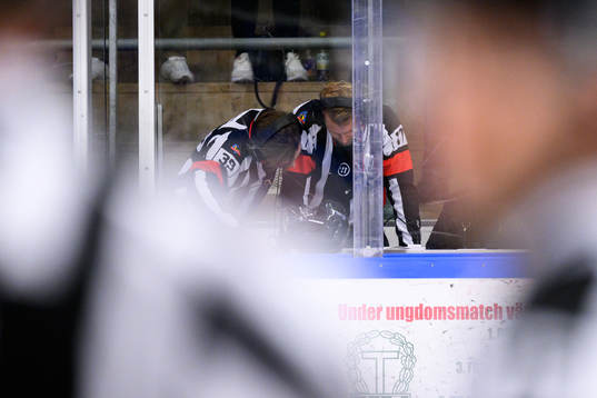 Domare Niklas Johansson och Domare Mattias Enroth