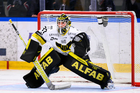 Västerås målvakt Johan Gustafsson