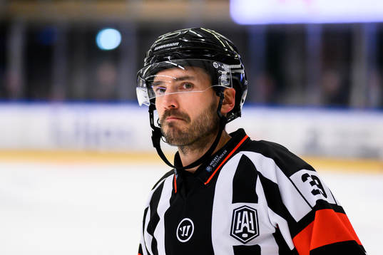 Domare Mattias Enroth