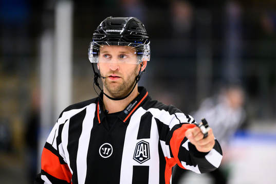 Domare Niklas Johansson