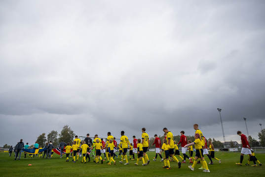 Norges och Sveriges gör entré