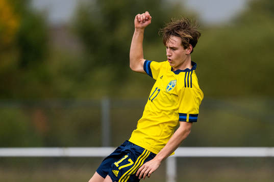 Sveriges Fredrik Nissen