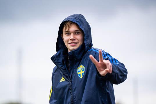 Sveriges målvakt André Picornell