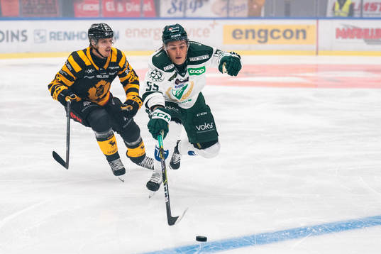 Skellefteås Jonathan Johnsson och Färjestads Max Lindroth
