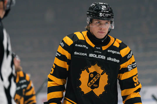 Skellefteås Rickard Hugg