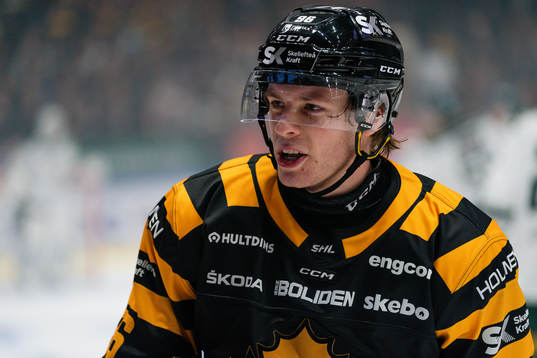 Skellefteås Rickard Hugg