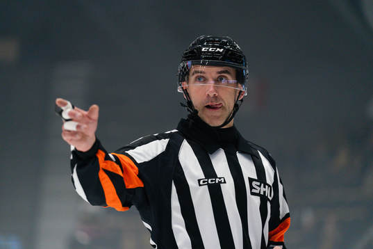 Domare Linus Öhlund