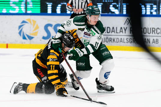 Skellefteås Max Lindholm och Färjestads Joakim Nygård