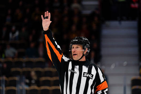 Domare Tobias Björk