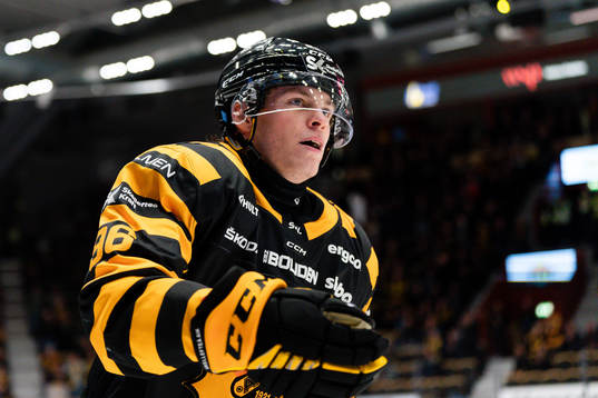 Skellefteås Rickard Hugg jublar