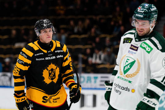 Skellefteås Rickard Hugg jublar