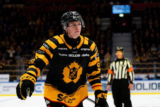 Skellefteås Rickard Hugg jublar