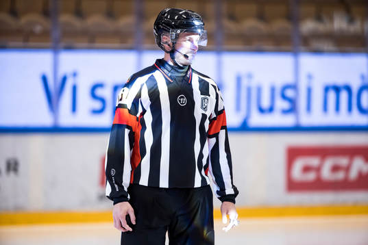 Domare Daniel Eriksson