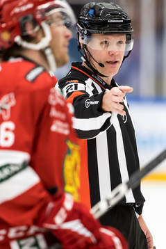 Domare Anders Sandahl