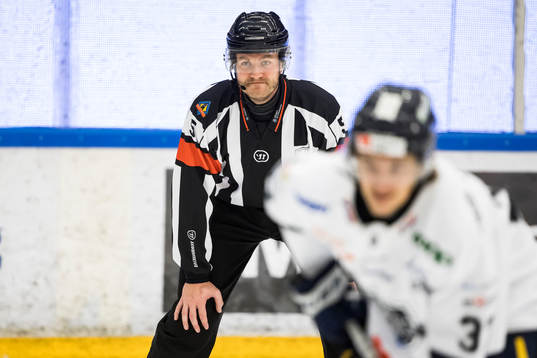 Domare Daniel Eriksson