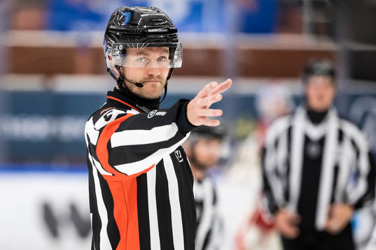 Domare Daniel Eriksson