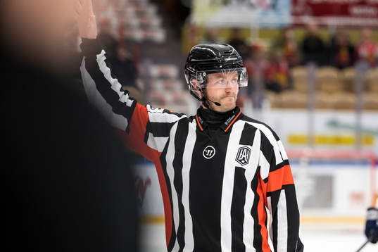Domare Daniel Eriksson