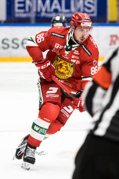Moras Albin Grewe