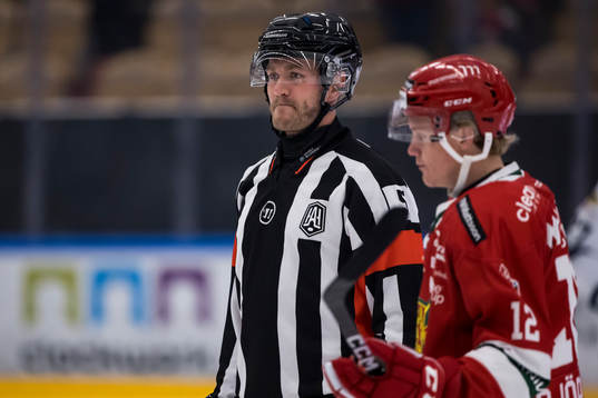 Domare Daniel Eriksson