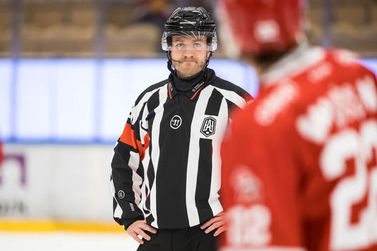 Domare Daniel Eriksson