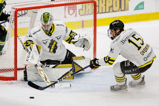 AIKs målvakt Niklas Lundström