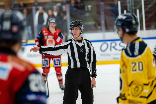 Linjedomare Anna Hammar