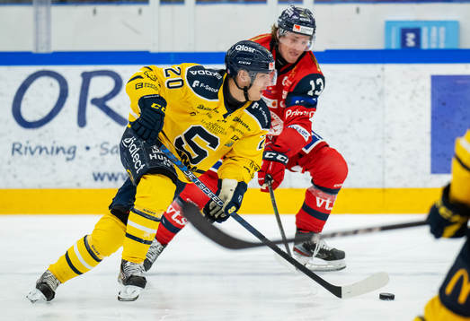 Södertäljes Nikola Pasic och Västerviks Troy Loggins