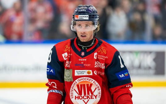 Västerviks Troy Loggins