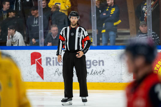 Domare Niklas Johansson