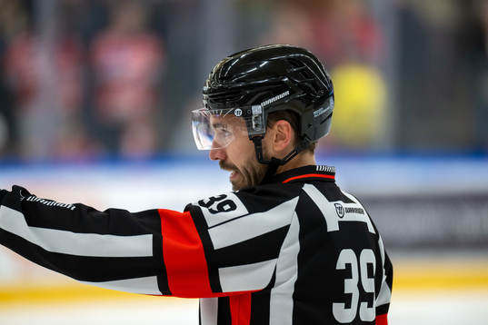 Domare Mattias Enroth