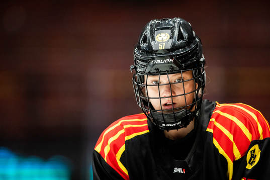 Brynäs Maja Ålenius
