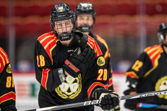 Brynäs Jenny Antonsson
