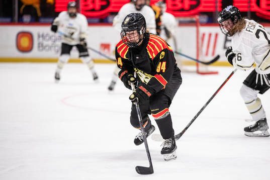 Brynäs Anna Meixner