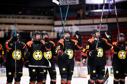 Brynäs spelare jublar