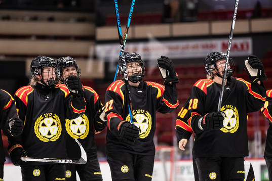 Brynäs spelare jublar