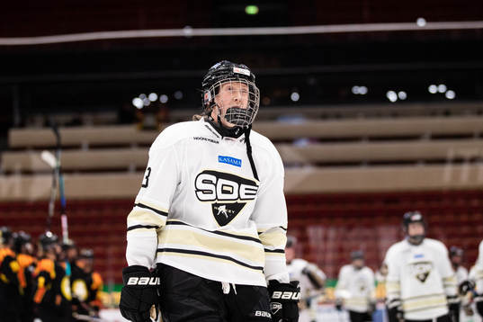 SDEs Hanna Blomqvist deppar