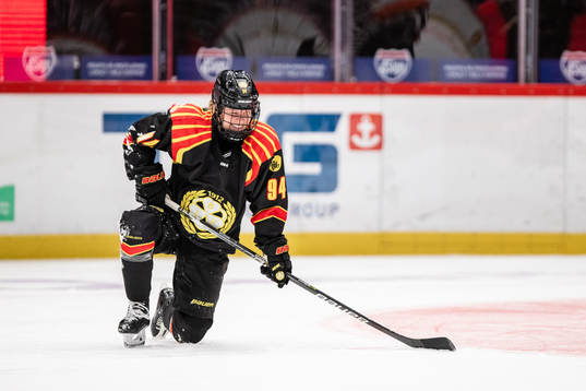 Brynäs Anna Meixner
