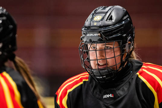 Brynäs Linn Slottgård