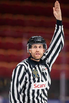 Domare Douglas Dellgren