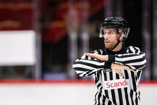 Domare Douglas Dellgren