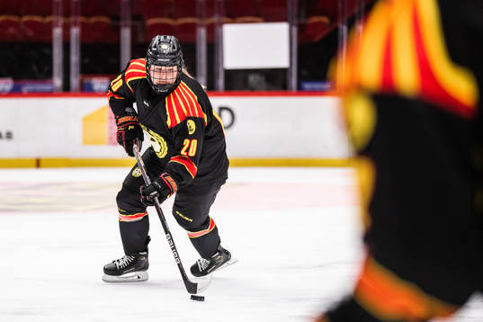 Brynäs Linn Slottgård
