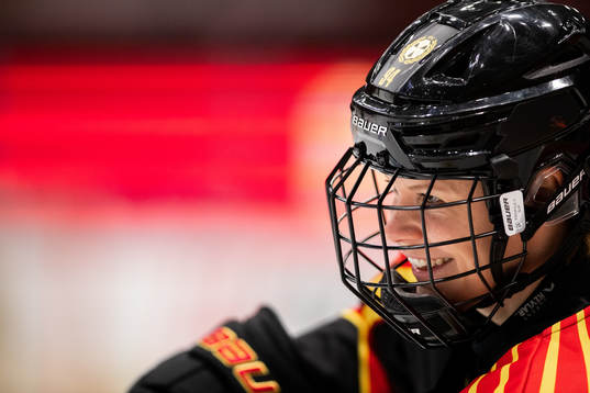 Brynäs Anna Meixner