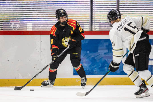Brynäs Lara Stalder