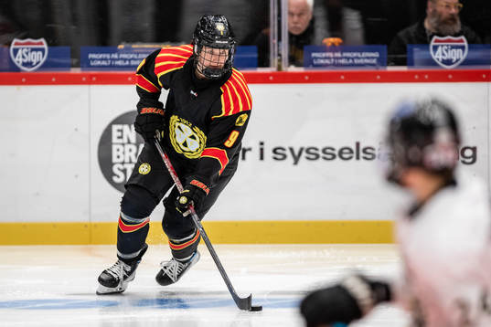Brynäs Alena Mills