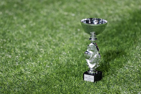 Pokal ”Skånska Mästare”