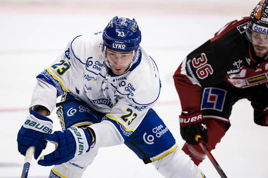 Leksands Mikael Ruohomaa