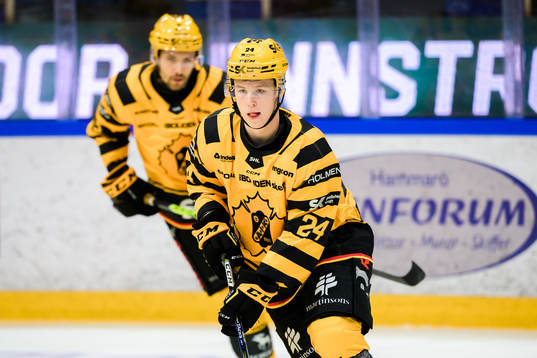Skellefteås Linus Bryngelsson