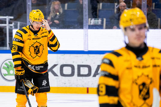 Skellefteås Albin Sundsvik deppar
