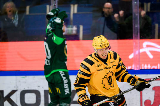 Skellefteås Max Lindholm deppar