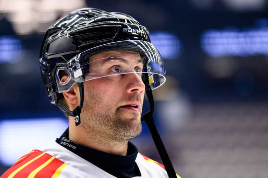 Brynäs Johan Larsson